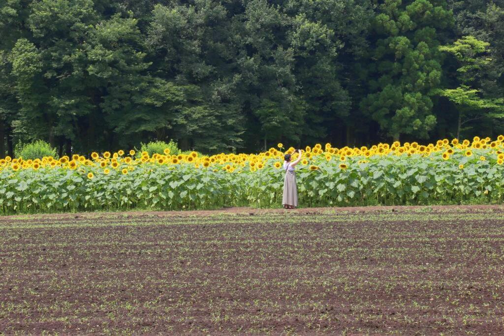 那須コテージ四季d棟/屋根付きバーベキュースペース完備/まるまま一棟貸し Nasu Exterior foto